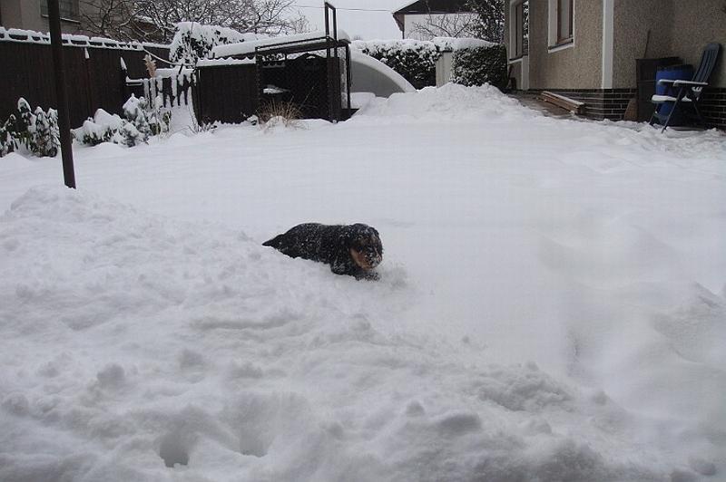 Art_25.1.2010 (11).JPG